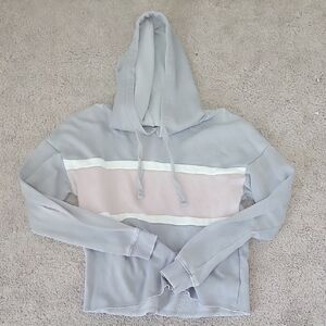 Pink Rose Pink and Gray Hoodie